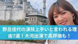 野呂佳代の演技上手いと言われる理由7選!大河出演で高評価も!