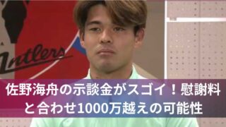 佐野海舟の示談金がスゴイ!慰謝料と合わせ1000万越えの可能性