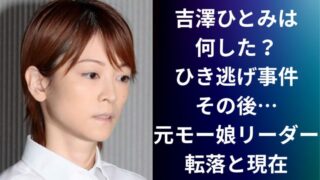 吉澤ひとみは何した?ひき逃げ事件その後…元モー娘リーダー転落と現在