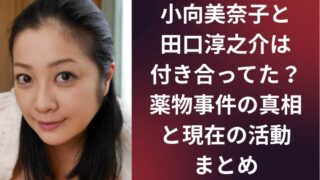 小向美奈子と田口淳之介は付き合ってた?薬物事件の真相と現在の活動まとめ