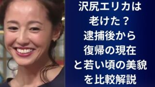 沢尻エリカは老けた？逮捕後から復帰の現在と若い頃の美貌を比較解説